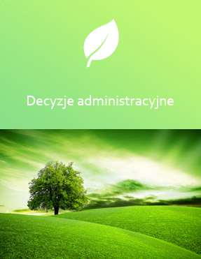 decyzje